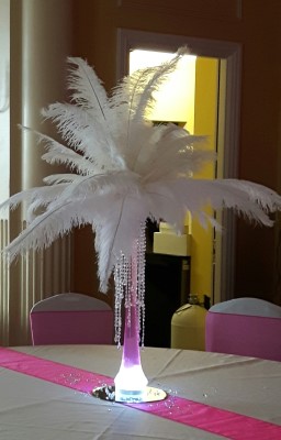 Ostrich Feather Vase